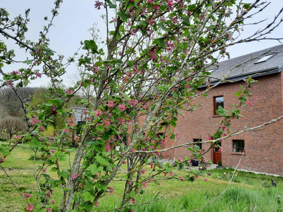 Aux Saveurs D'Enneille Bed and Breakfast Durbuy Eksteriør billede